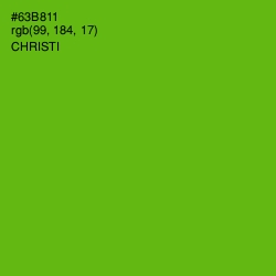 #63B811 - Christi Color Image