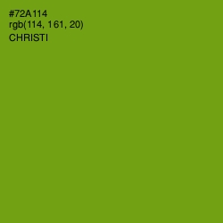 #72A114 - Christi Color Image
