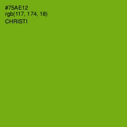 #75AE12 - Christi Color Image