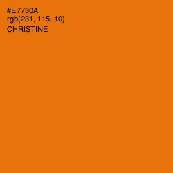 #E7730A - Christine Color Image