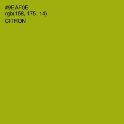 #9EAF0E - Citron Color Image