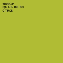 #B0BC34 - Citron Color Image