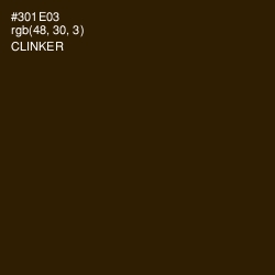 #301E03 - Clinker Color Image