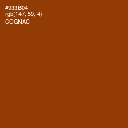#933B04 - Cognac Color Image