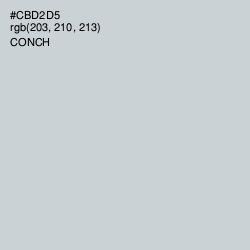 #CBD2D5 - Conch Color Image