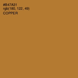 #B47A31 - Copper Color Image