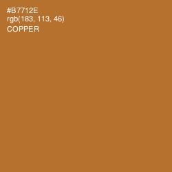 #B7712E - Copper Color Image