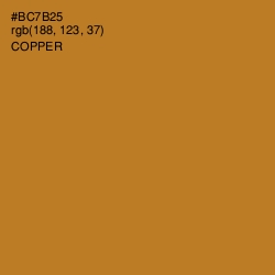 #BC7B25 - Copper Color Image