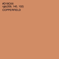 #D18C66 - Copperfield Color Image