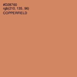 #D28760 - Copperfield Color Image