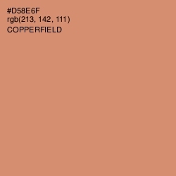 #D58E6F - Copperfield Color Image
