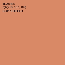#DA8966 - Copperfield Color Image