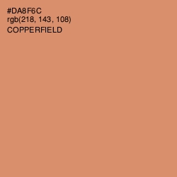 #DA8F6C - Copperfield Color Image