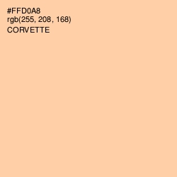#FFD0A8 - Corvette Color Image