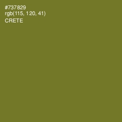 #737829 - Crete Color Image