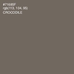 #71685F - Crocodile Color Image