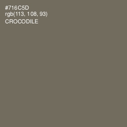 #716C5D - Crocodile Color Image