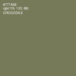 #777A58 - Crocodile Color Image