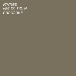 #7A705E - Crocodile Color Image