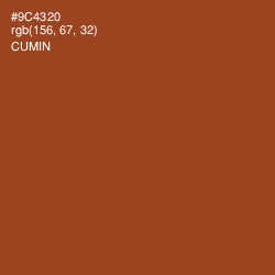 #9C4320 - Cumin Color Image