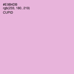 #E9B4DB - Cupid Color Image