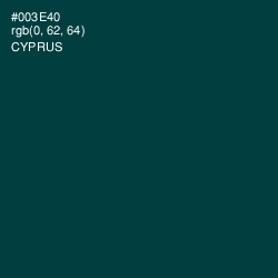 #003E40 - Cyprus Color Image