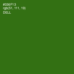 #336F13 - Dell Color Image