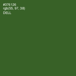 #376126 - Dell Color Image