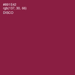 #891E42 - Disco Color Image
