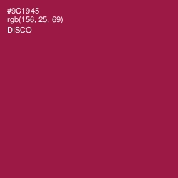#9C1945 - Disco Color Image