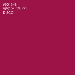 #9D1348 - Disco Color Image