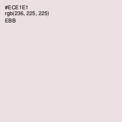 #ECE1E1 - Ebb Color Image