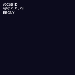 #0C0B1D - Ebony Color Image