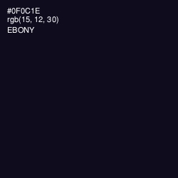 #0F0C1E - Ebony Color Image