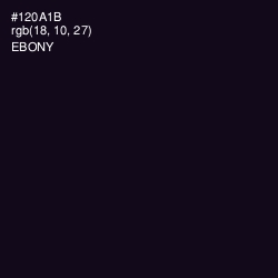 #120A1B - Ebony Color Image