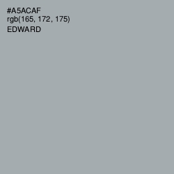 #A5ACAF - Edward Color Image