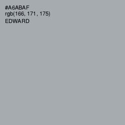 #A6ABAF - Edward Color Image