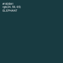 #183B41 - Elephant Color Image