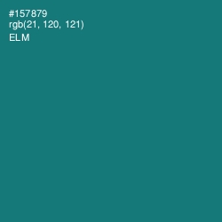 #157879 - Elm Color Image