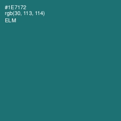 #1E7172 - Elm Color Image