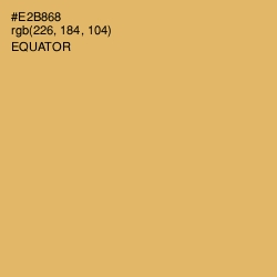 #E2B868 - Equator Color Image