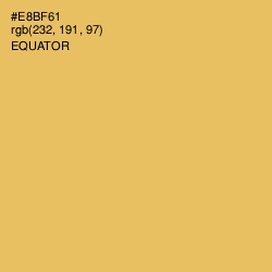 #E8BF61 - Equator Color Image