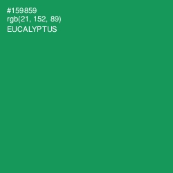 #159859 - Eucalyptus Color Image