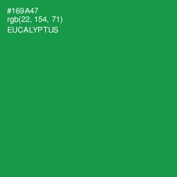 #169A47 - Eucalyptus Color Image