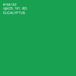 #19A152 - Eucalyptus Color Image