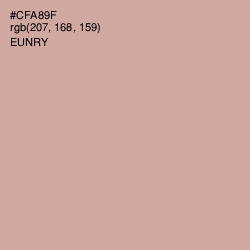 #CFA89F - Eunry Color Image