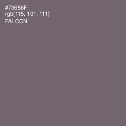 #73656F - Falcon Color Image