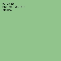 #91C48D - Feijoa Color Image