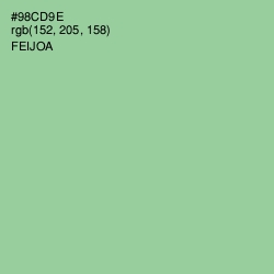 #98CD9E - Feijoa Color Image