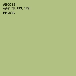 #B0C181 - Feijoa Color Image